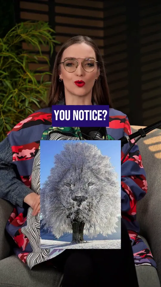 The lion or the tree?